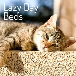 Lazy Day Beds
